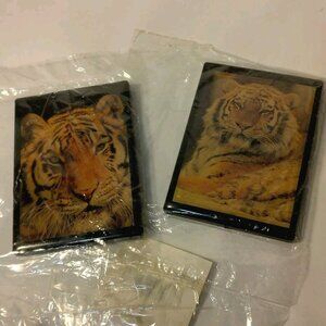 Sierra Club Tiger Fridge Magnet Pair 2 Tim Davis Photography Vintage USA